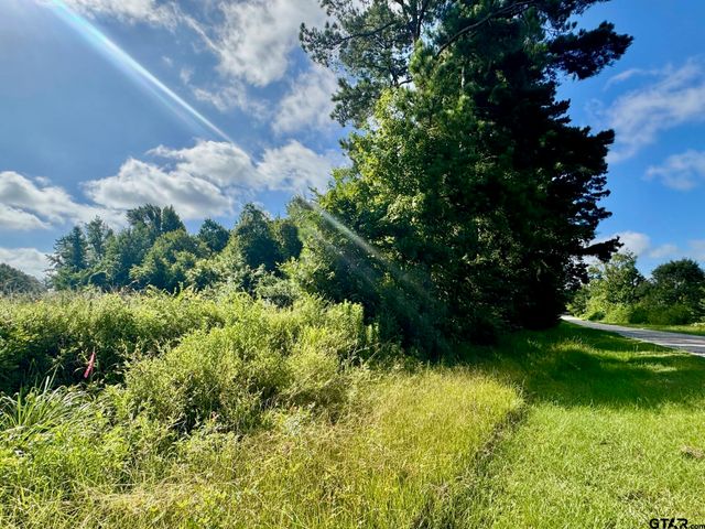 TBD CR 369, Winona, TX 75792
