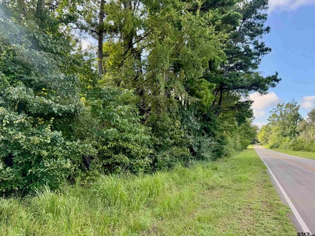 TBD CR 369, Winona, TX 75792