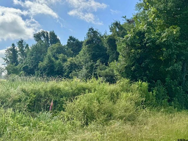 TBD CR 369, Winona, TX 75792
