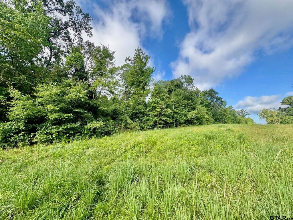 TBD CR 369, Winona, TX 75792