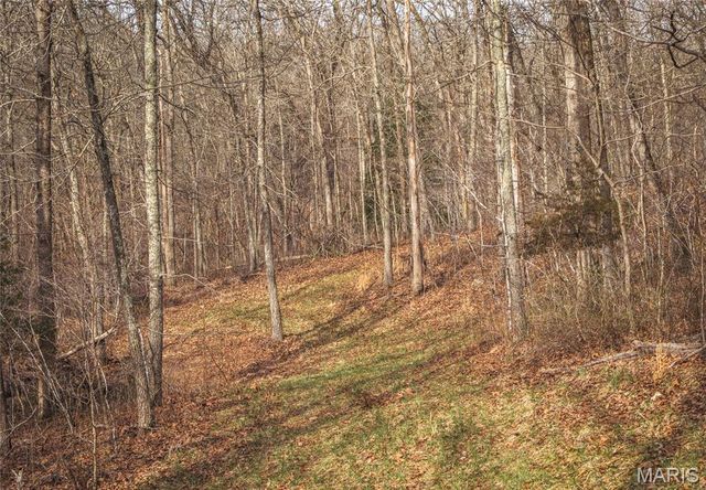 000 County Road 3600 Tract 2, St James, MO 65559