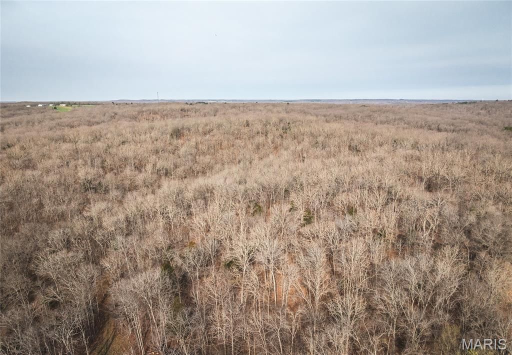 000 County Road 3600 Tract 2, St James, MO 65559