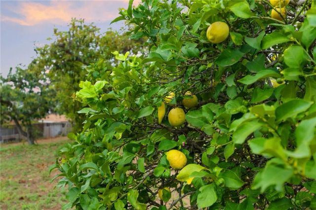 665 Norwynn Lane, Fallbrook, CA 92028