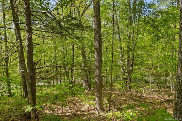 2802 Morgan Drive, Carmel, NY 10512