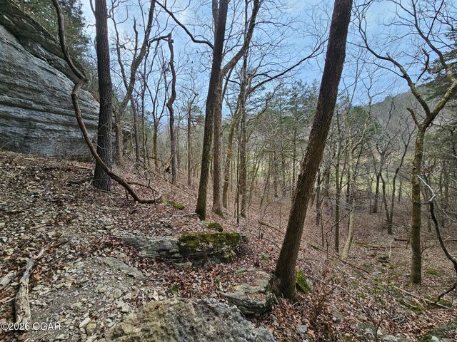 2332 Packet Hollow Road, Pineville, MO 64856