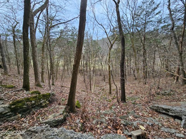 2332 Packet Hollow Road, Pineville, MO 64856