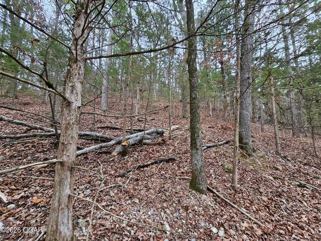 2332 Packet Hollow Road, Pineville, MO 64856