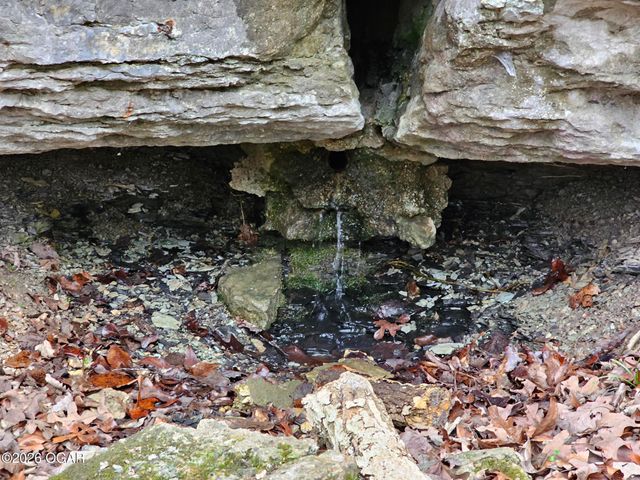 2332 Packet Hollow Road, Pineville, MO 64856