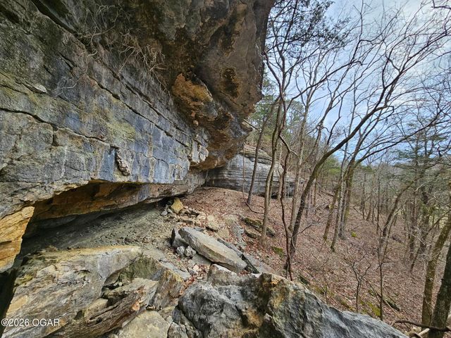 2332 Packet Hollow Road, Pineville, MO 64856