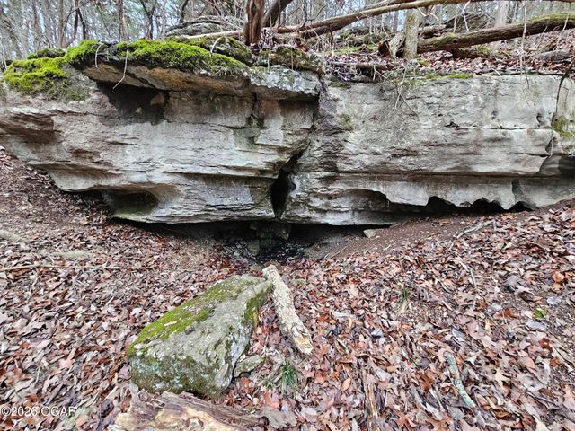 2332 Packet Hollow Road, Pineville, MO 64856