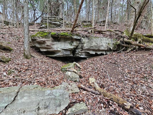 2332 Packet Hollow Road, Pineville, MO 64856