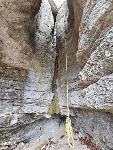 2332 Packet Hollow Road, Pineville, MO 64856