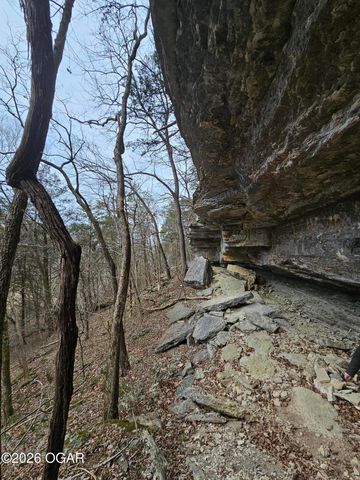 2332 Packet Hollow Road, Pineville, MO 64856