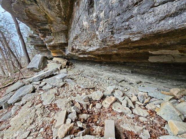 2332 Packet Hollow Road, Pineville, MO 64856