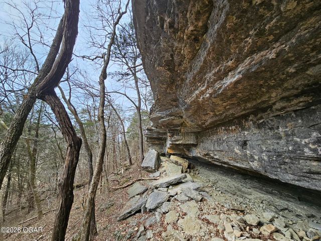 2332 Packet Hollow Road, Pineville, MO 64856