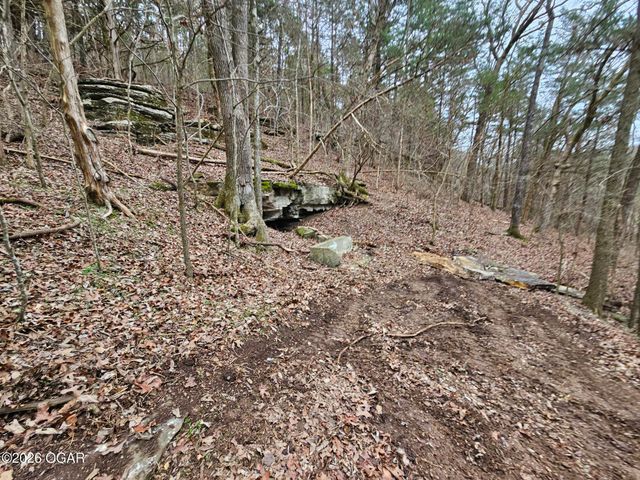 2332 Packet Hollow Road, Pineville, MO 64856