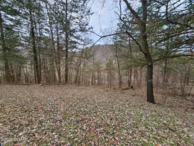 2332 Packet Hollow Road, Pineville, MO 64856