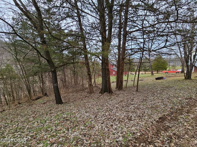 2332 Packet Hollow Road, Pineville, MO 64856