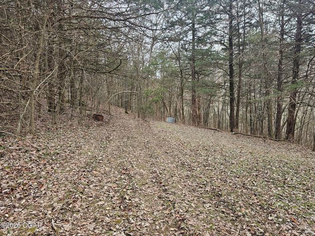 2332 Packet Hollow Road, Pineville, MO 64856