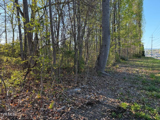 Tbd North Roan Street, Johnson City, TN 37601