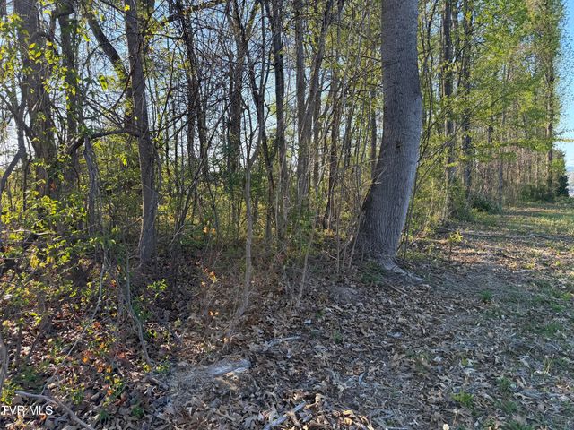 Tbd North Roan Street, Johnson City, TN 37601