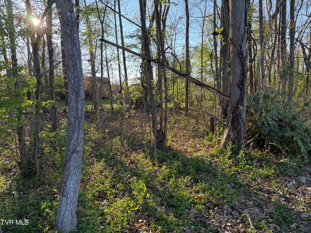 Tbd North Roan Street, Johnson City, TN 37601