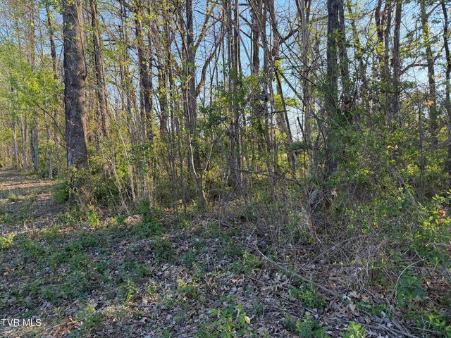 Tbd North Roan Street, Johnson City, TN 37601