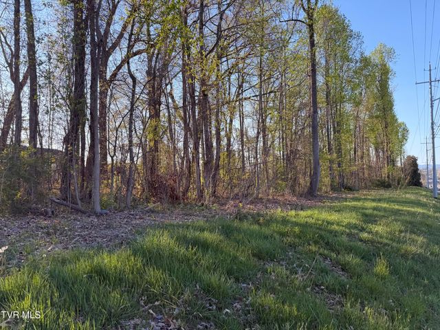 Tbd North Roan Street, Johnson City, TN 37601