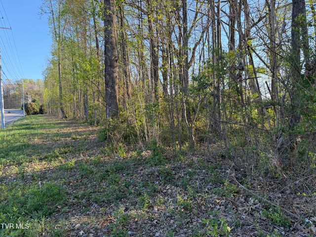 Tbd North Roan Street, Johnson City, TN 37601