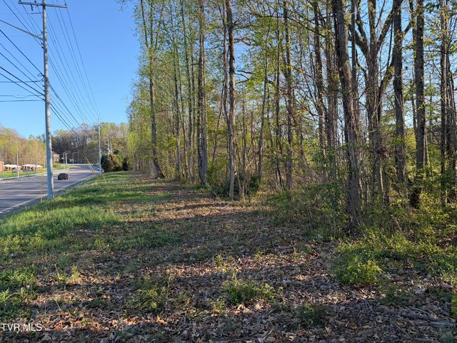 Tbd North Roan Street, Johnson City, TN 37601