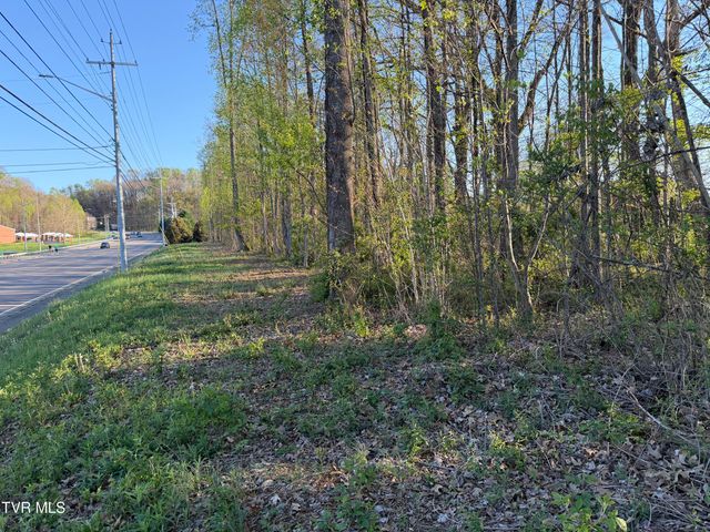 Tbd North Roan Street, Johnson City, TN 37601