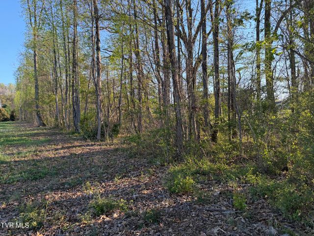 Tbd North Roan Street, Johnson City, TN 37601