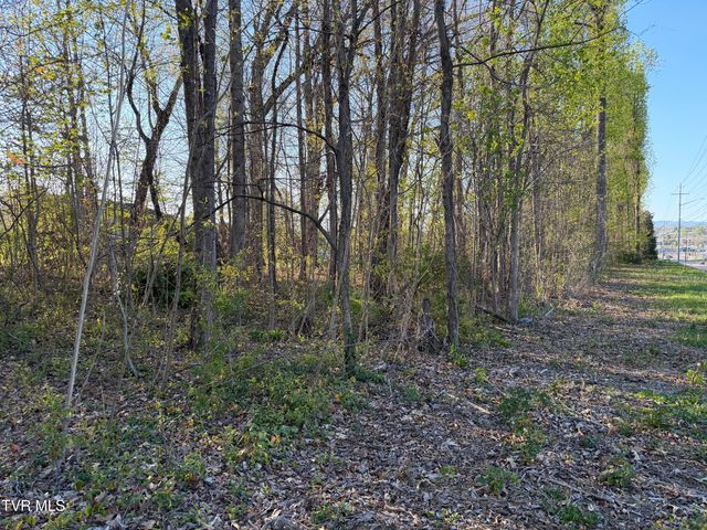 Tbd North Roan Street, Johnson City, TN 37601