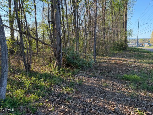 Tbd North Roan Street, Johnson City, TN 37601