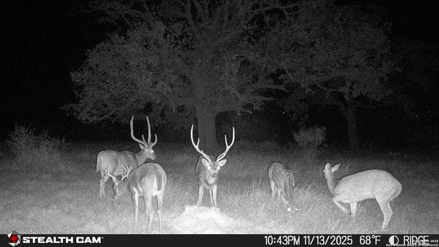 740 Optimist Way, Bandera, TX 78003