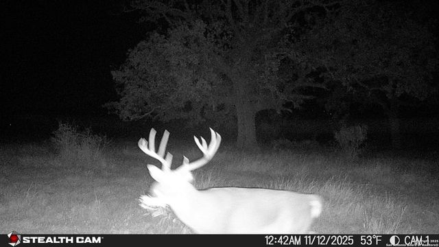 740 Optimist Way, Bandera, TX 78003