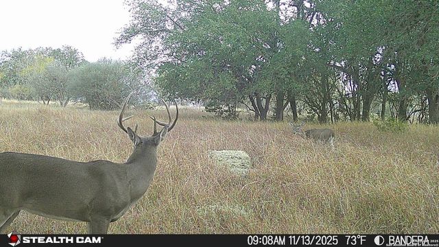 740 Optimist Way, Bandera, TX 78003