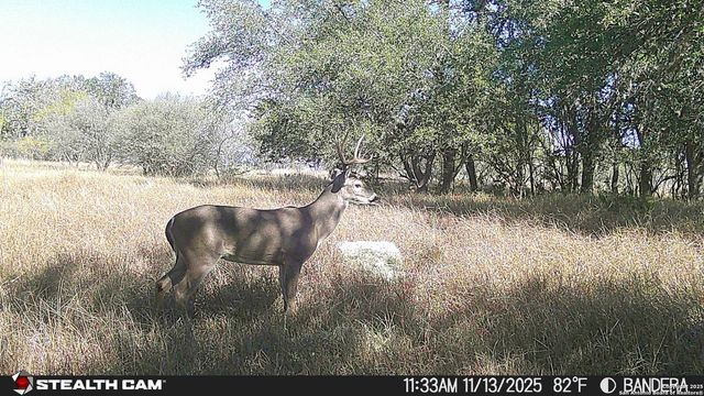 740 Optimist Way, Bandera, TX 78003