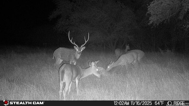 740 Optimist Way, Bandera, TX 78003