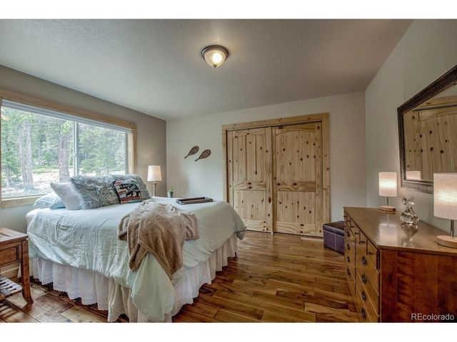 137 Porcupine Rd, Fairplay, CO 80440