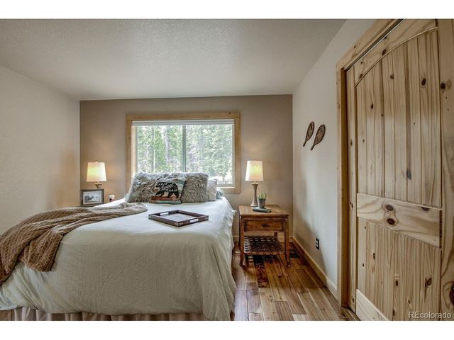 137 Porcupine Rd, Fairplay, CO 80440