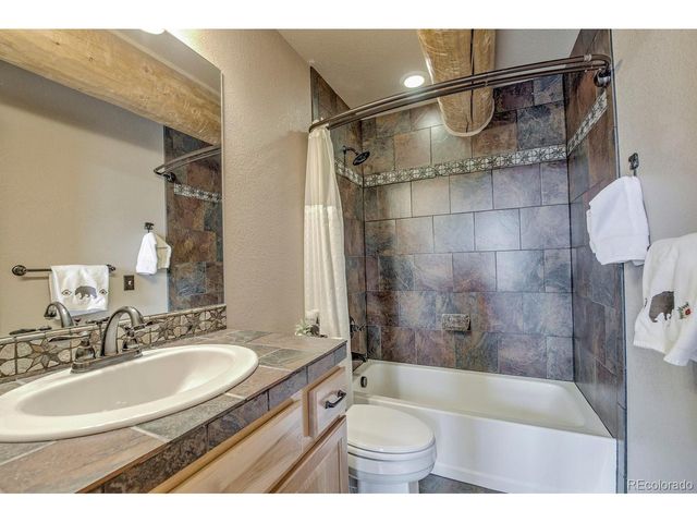 137 Porcupine Rd, Fairplay, CO 80440