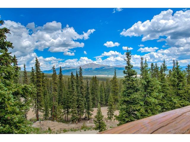 137 Porcupine Rd, Fairplay, CO 80440