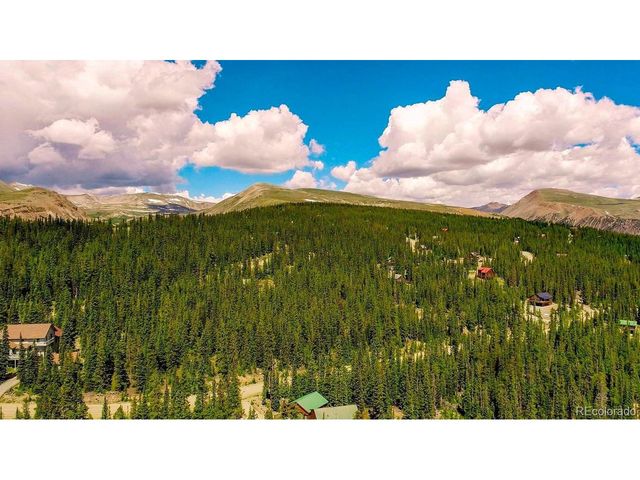 137 Porcupine Rd, Fairplay, CO 80440