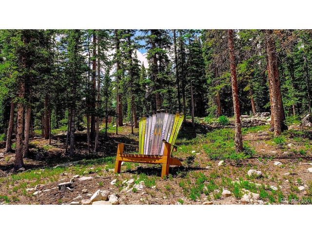137 Porcupine Rd, Fairplay, CO 80440