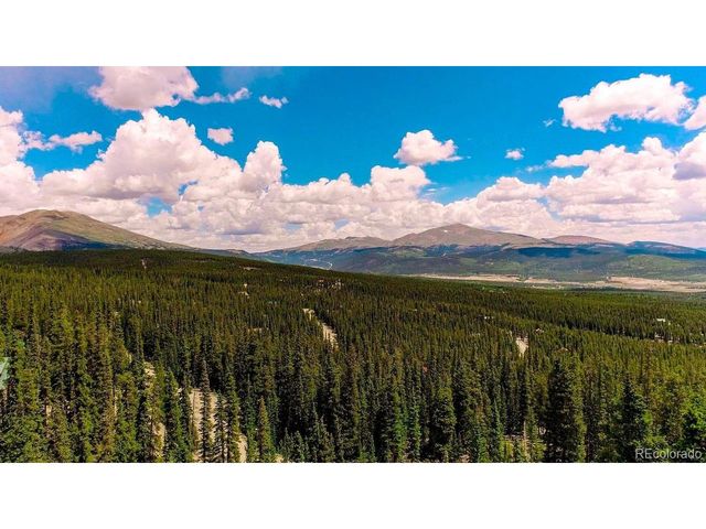 137 Porcupine Rd, Fairplay, CO 80440
