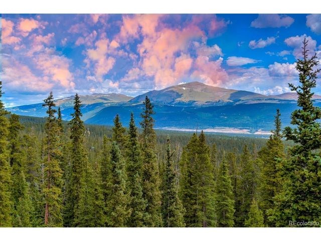 137 Porcupine Rd, Fairplay, CO 80440