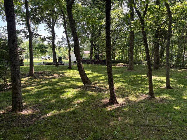 4849 West Rose Hill Road, Billings, MO 65610