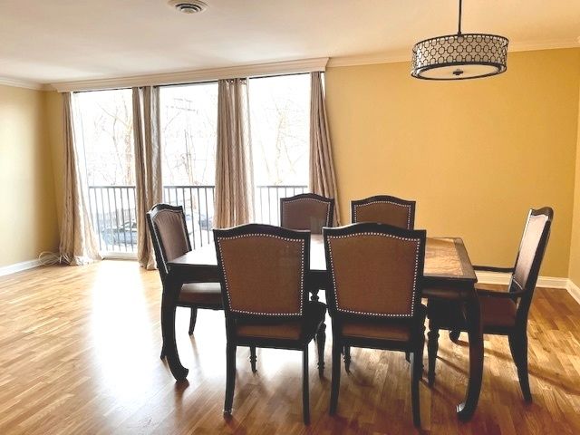 424 Park Avenue 204, River Forest, IL 60305