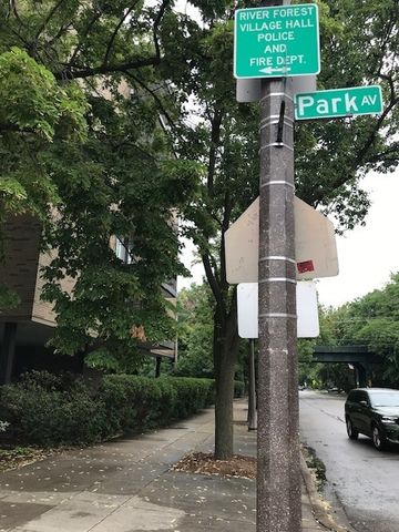 424 Park Avenue 204, River Forest, IL 60305